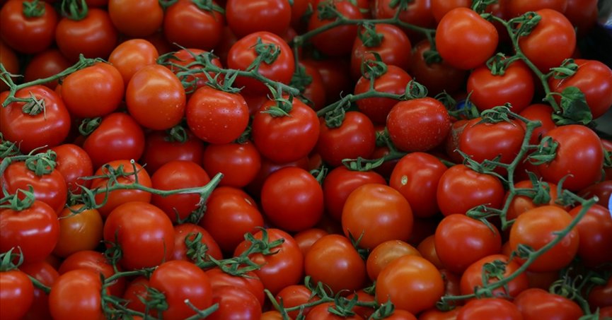 Rusya, Türkiye’den domates ithalat kotasını artırdı