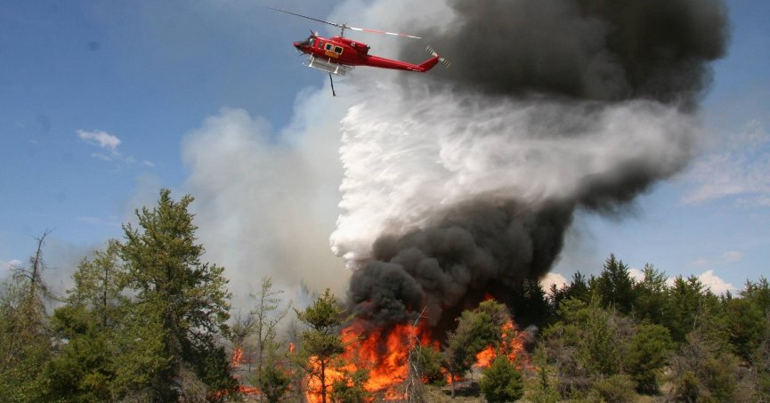 Kocaeli İtfaiyesi orman yangınlarına karşı uyardı