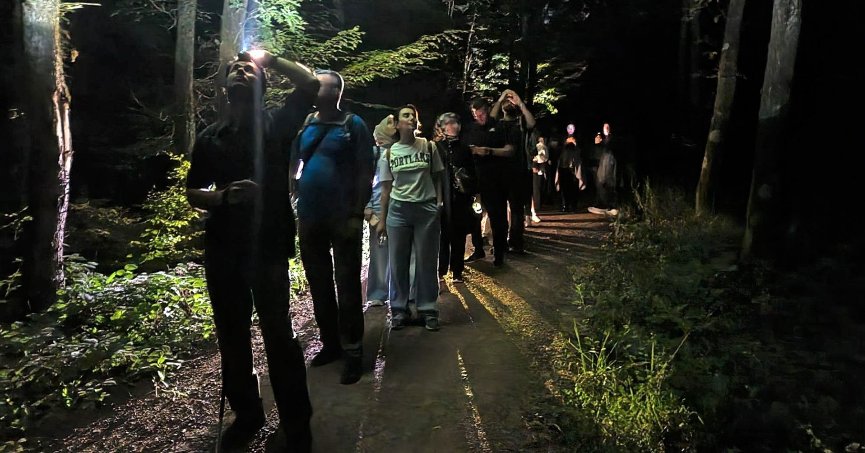 Ormanya’da macera dolu gece yürüyüşü