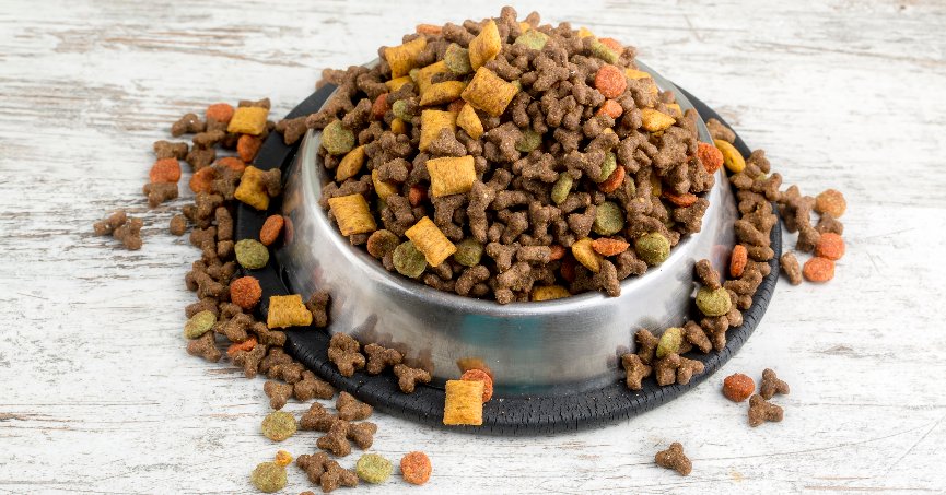 Kedi-köpek maması ihracatı yüzde 64 arttı