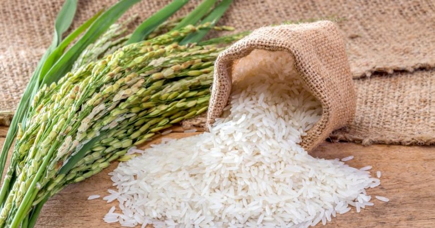 Hindistan, basmati olmayan pirinç ihracatını yasakladı