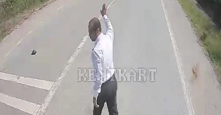 Kaplumbağanın ezilmemesi için araçları durdurdu