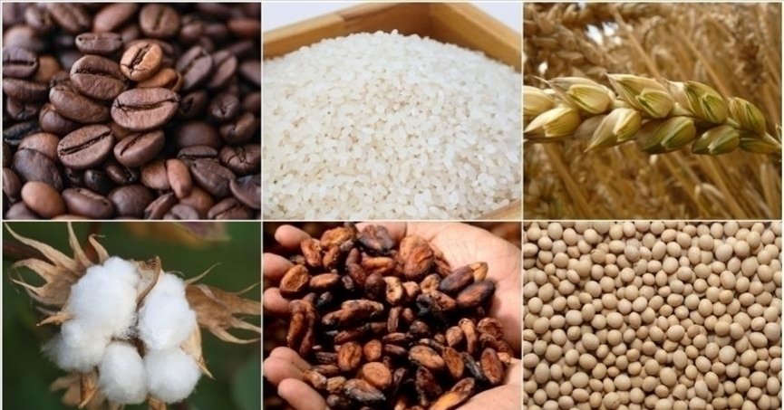 Emtia piyasasında sert  dalgalanmalar öne çıktı