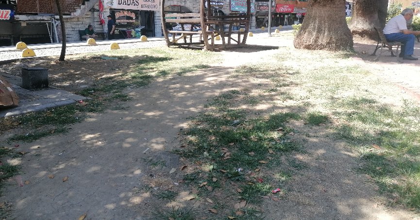 Çorak hale gelen alan    yeniden yeşillendirilmeli