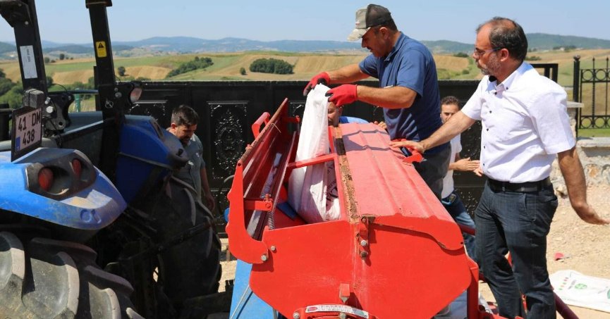 Glutensiz karabuğday tohumları toprakla buluştu