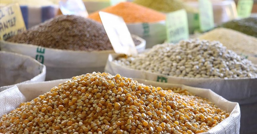 ‘Hububat ihracatı 7 ayda 6,9 milyar dolara ulaştı’