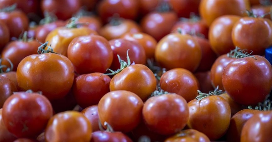 Tarım, gıda ve içecek sektöründen  6 ayda 12,23 milyar dolarlık ihracat