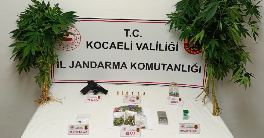 Jandarmadan 4 ilçede uyuşturucu operasyonları