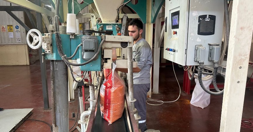 Mercimek Güneydoğu’nun  ekonomisine katkı sunuyor