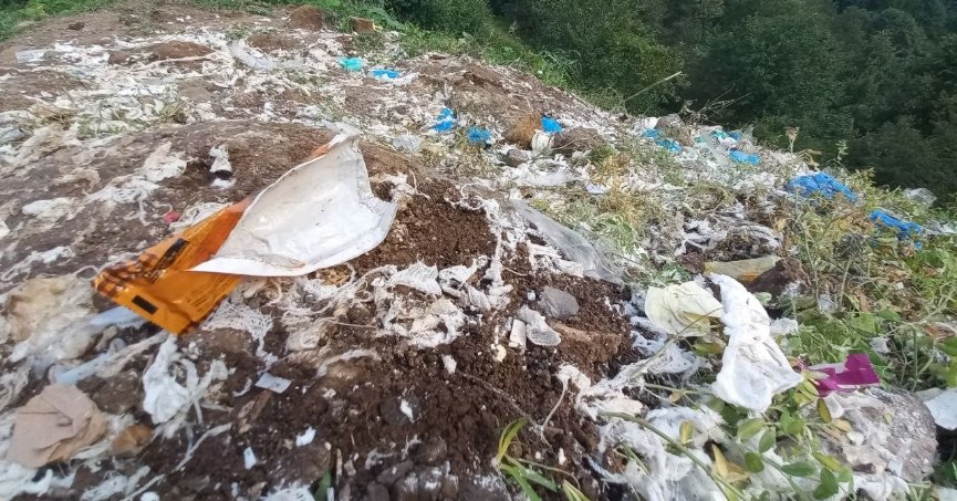 Bir kamyon dolusu tıbbi atığı doğaya attılar