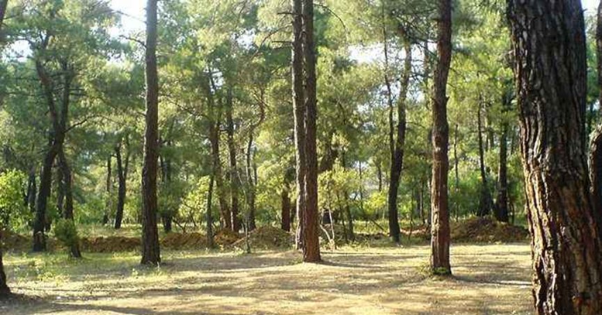 Kandıra’da ormanlık alanlara girişler yasaklandı