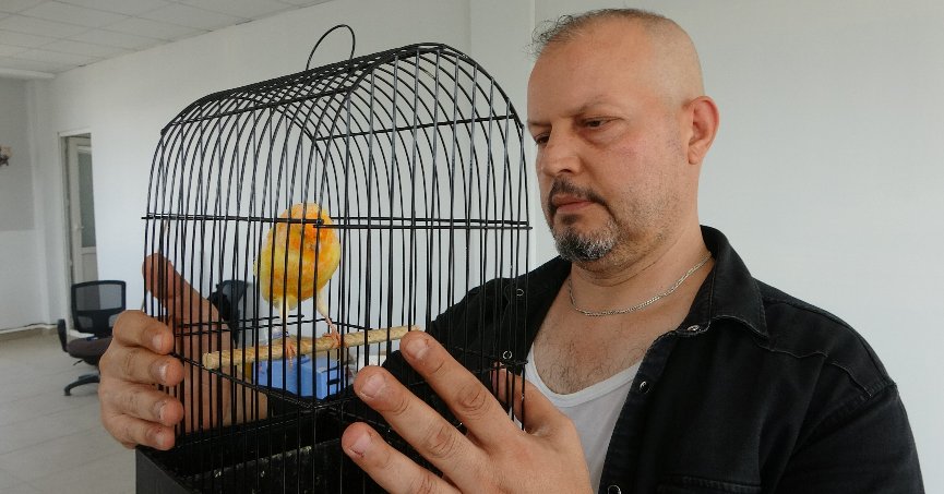 Molozların arasından kurtardığı kanaryalarıyla hayata tutundu