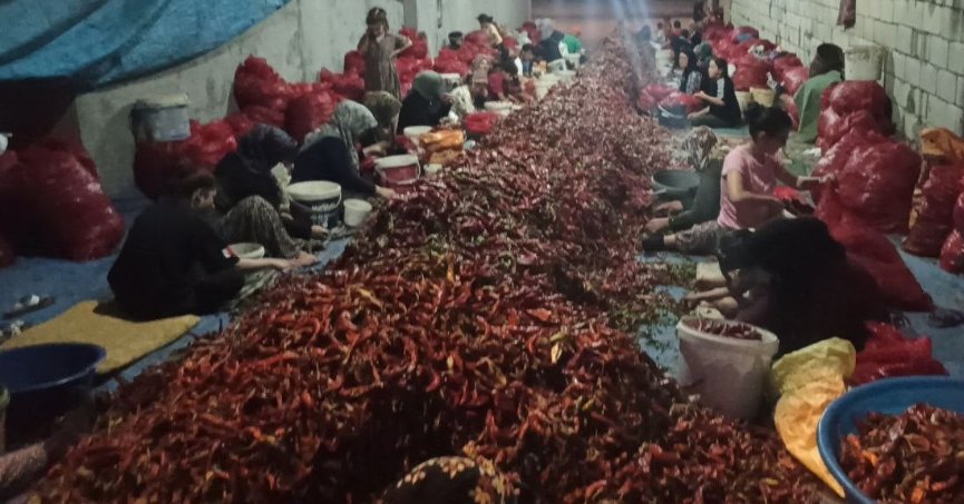 Ekmek paralarını acıdan çıkarıyorlar