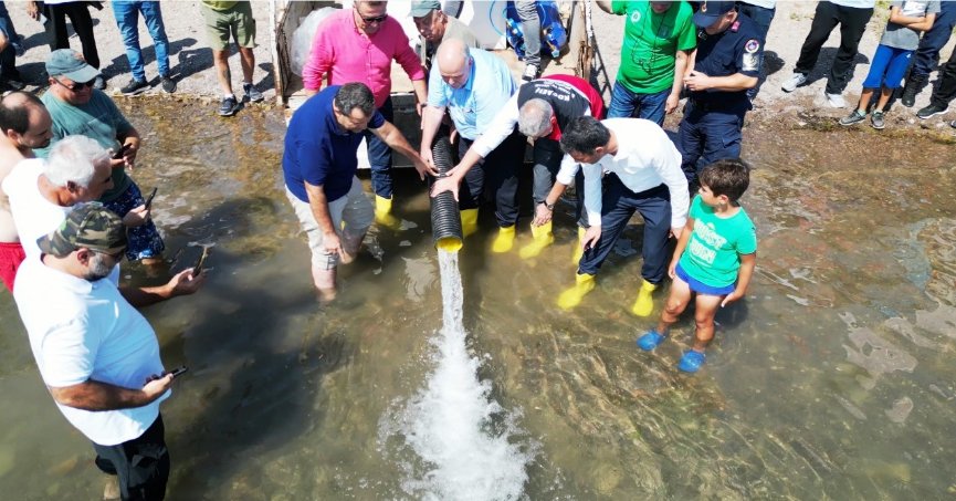 Eşme’de Sapanca Gölü’ne 100 bin sazan salındı
