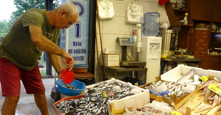 Tezgahlarda hamsi bolluğu yaşanıyor