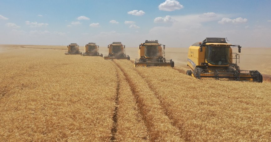 TİGEM işletmelerinden hasat rekoru: 392 bin ton