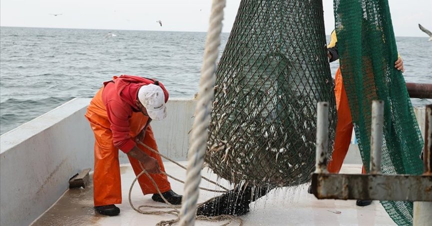 Karadenizli balıkçılar sezona mezgit bereketiyle başladı