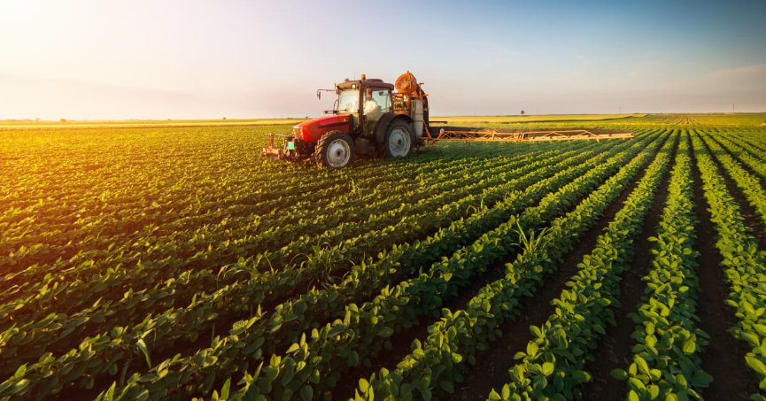 Tarım-ÜFE yıllık yüzde 76,35 arttı