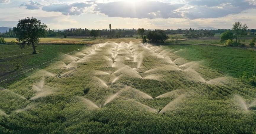 Hayvancılık ve bitkisel üretime öncelik verilecek