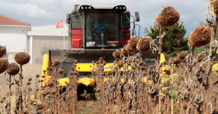 Trakya’da çiftçiler hububat ekimi öncesi endişeli