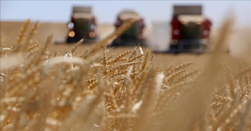 Tarım-GFE fiyat endeksi aylık yüzde 6,56 arttı