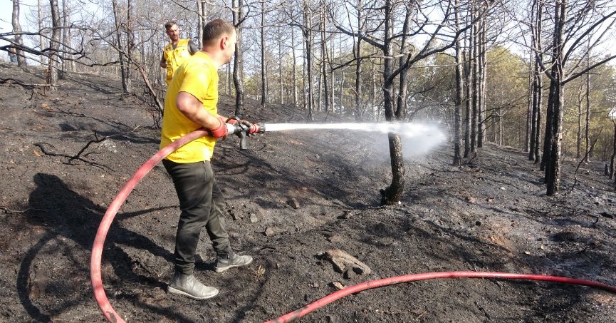 Otluk alandan ormana sıçrayan yangın söndürüldü