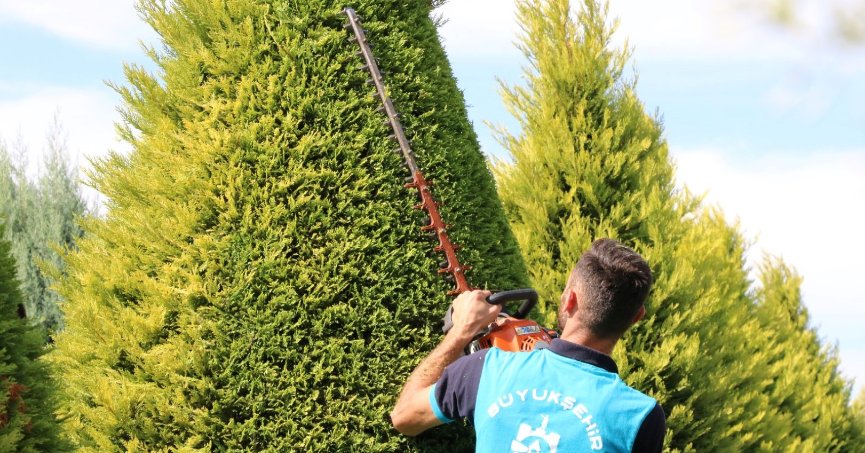 Park ve bahçelerde  sonbahar budaması