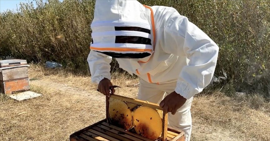 Türkiye Arıcılık Haritası güncellendi