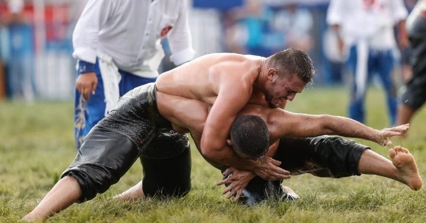 Pehlivanlar, Karamürsel'de buluşuyor 