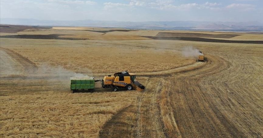 Hububatta mazot ve gübre destekleri erken ödenecek