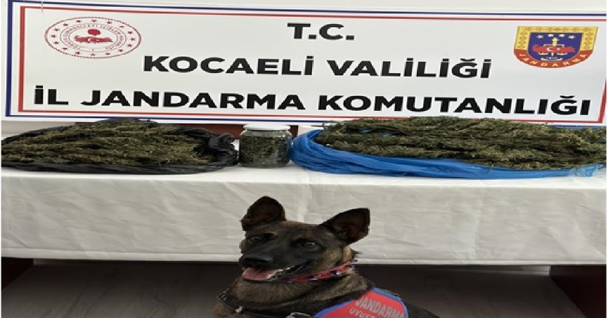 Evde uyuşturucu ele geçirildi