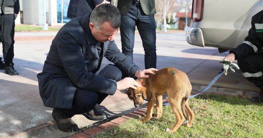 Büyükakın, ‘Hiçbir canlıyı incitmeyelim’