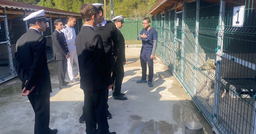 Sokak hayvanları merkezi öğrencileri konuk etti