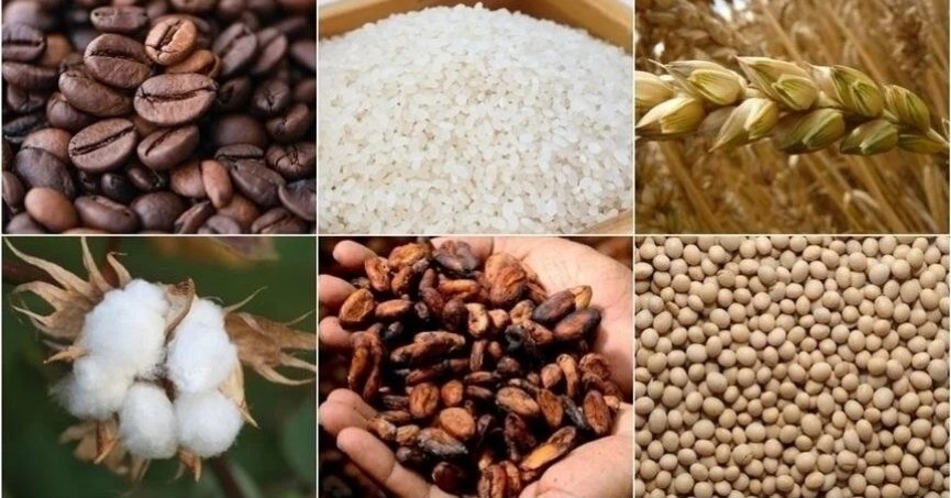 Emtia piyasasında sert düşüşler görüldü