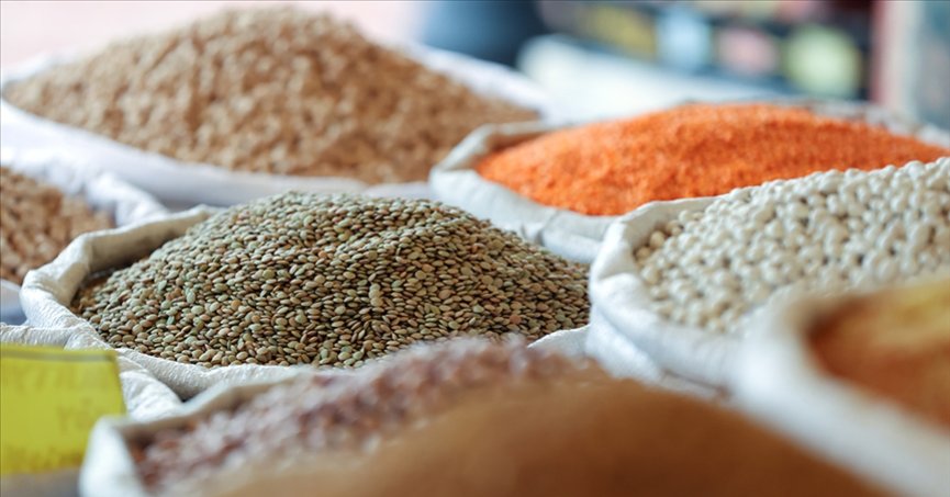 Türkiye’nin hububat ve bakliyat ihracatı 9,2 milyar doları buldu