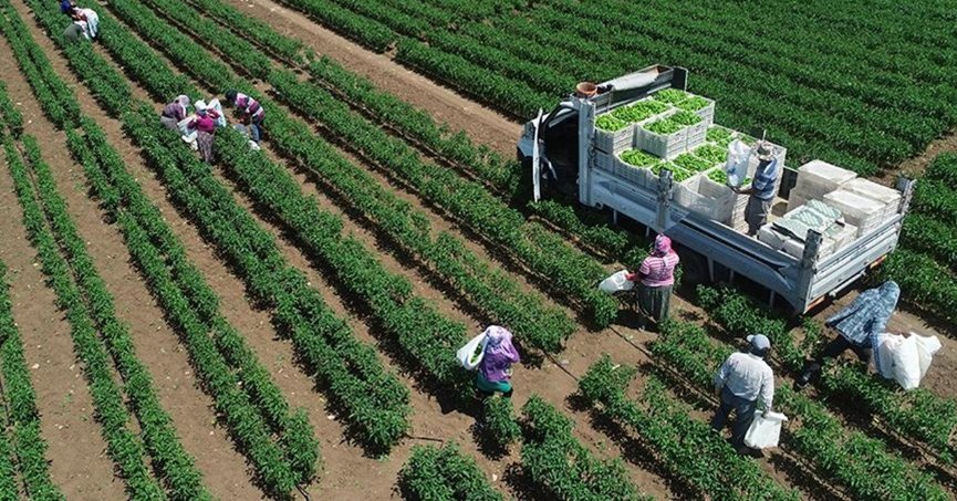 Bitkisel üretimde biyolojik mücadele destekleri belli oldu