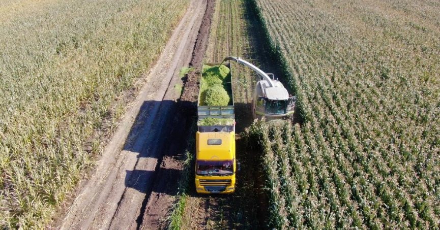 Tarım-ÜFE yıllık yüzde 71,96 arttı