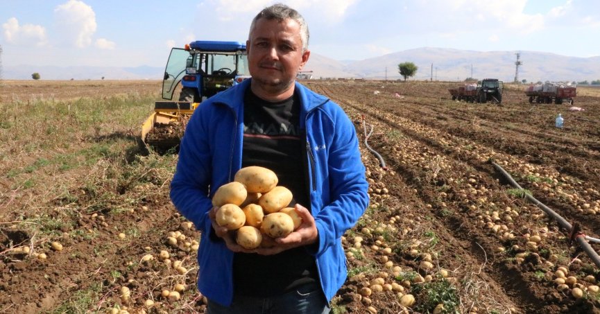 40 bin dekar alanda ekilen patateste hasat sonu