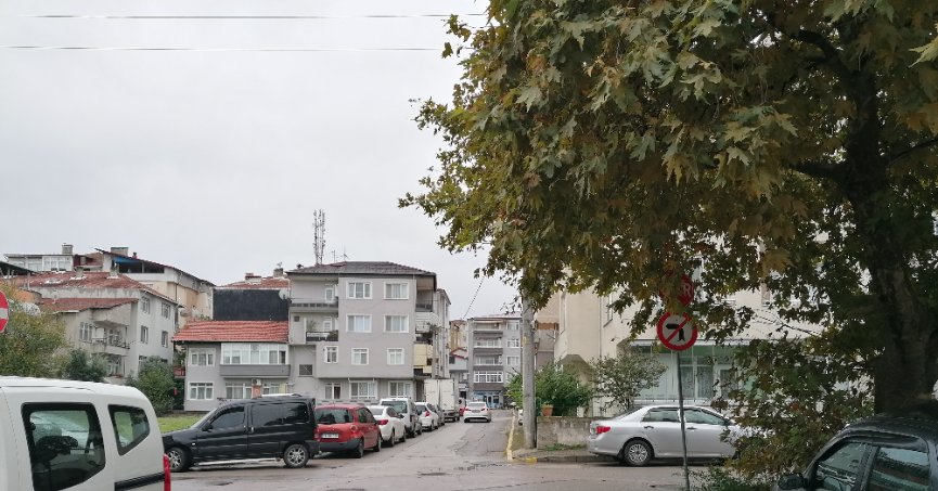 Uzayan dallar tabelayı kapatıyor