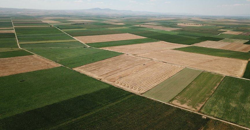 2024’te 700 bin hektarda arazi toplulaştırma çalışması yapılacak