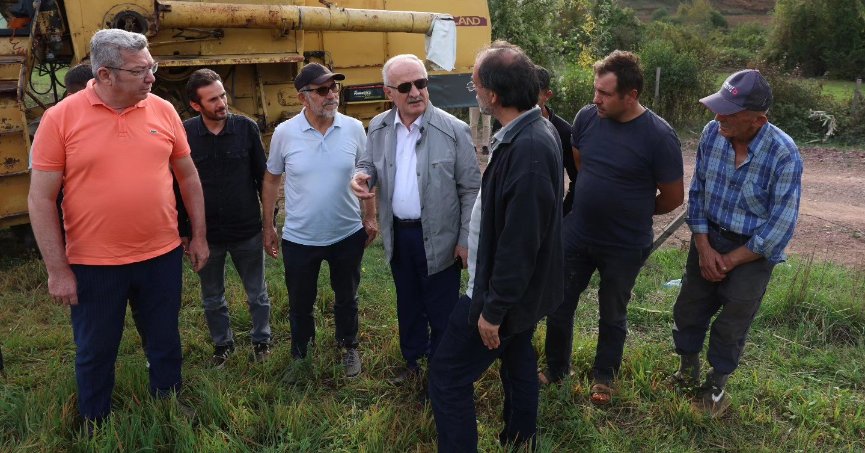 Glutensiz karabuğday ekimi yaygınlaşıyor