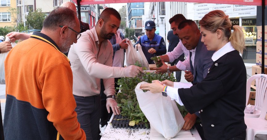 Vatandaşlara ücretsiz 150 bin fide dağıtıldı