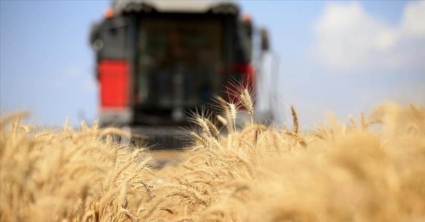 FAO: Küresel gıda fiyatları 30 ayın en düşük seviyesine indi