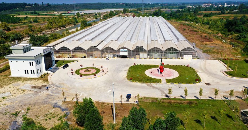 5 aylık hasat döneminde 500 ton domatesle rekor üretim