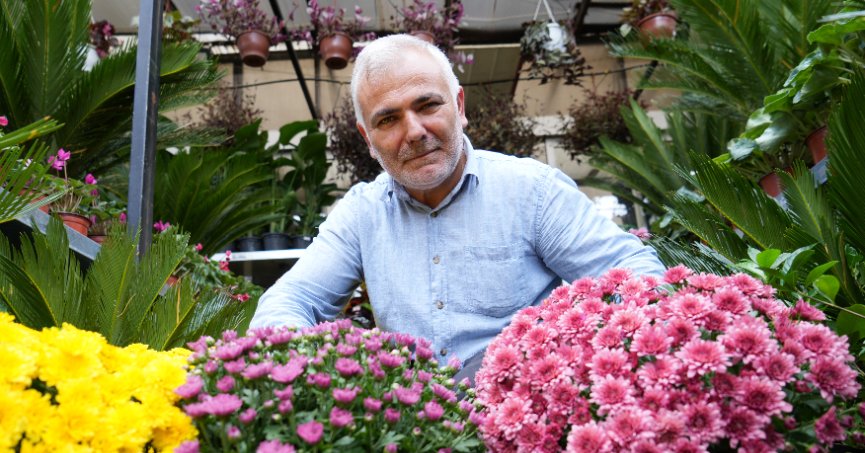 Sonbaharda kasımpatı ve sıklamen çiçeğine ilgi arttı