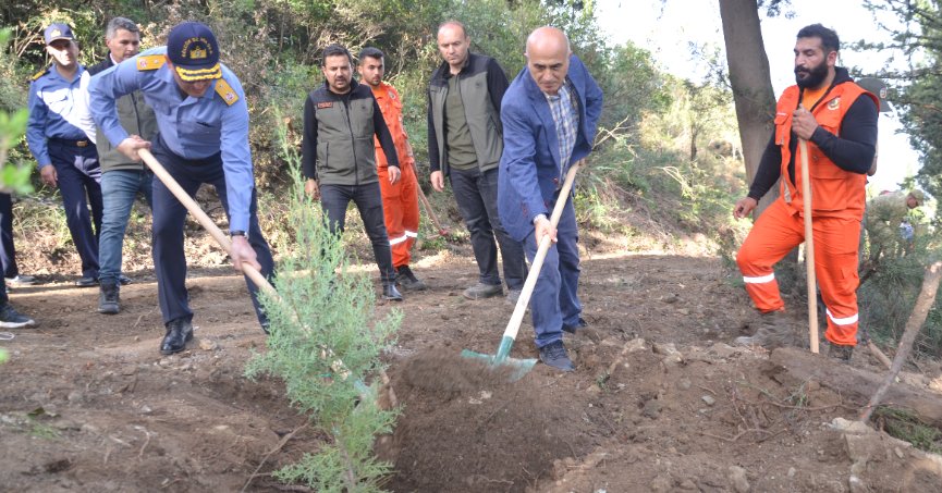 Fidanlar toprakla buluşturuldu