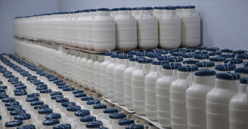 TİGEM, ihaleyle 65 bin 835 ton inek sütü satacak