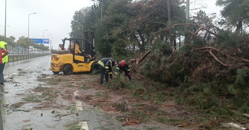 Birçok noktada ağaçlar fırtınaya dayanamadı