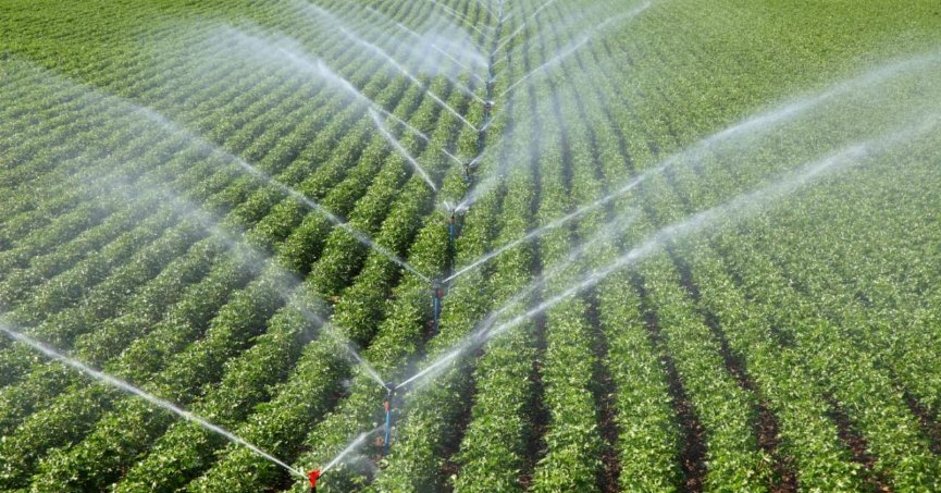 Bitkisel üretim desteklemelerinin uygulama esasları düzenlendi