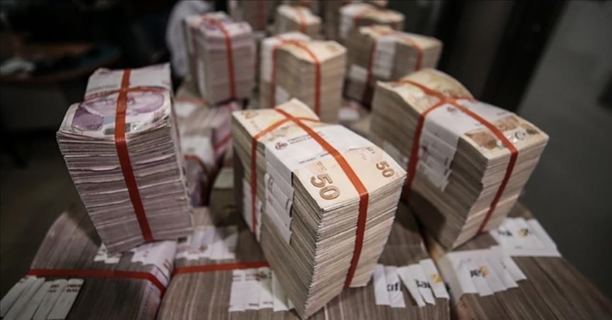 TCMB ekonomistleri, KKM sahibi firmaları analiz etti